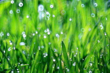 Similar image 10497616