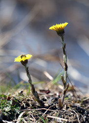 Similar image 10497618