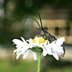 Similar image 10497623