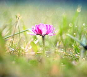 Similar image 10497624