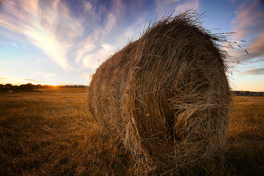 Similar image 10497627