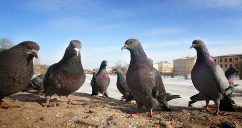 Similar image 10497628