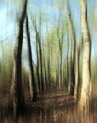 Similar image 10497629