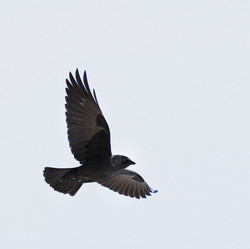 Similar image 10497632