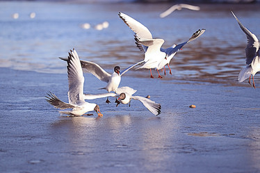 Similar image 10497635