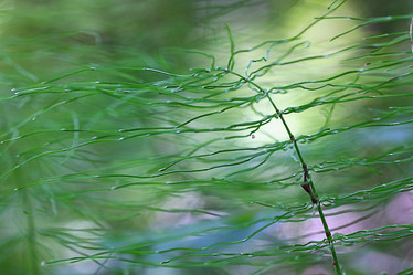 Similar image 10497637