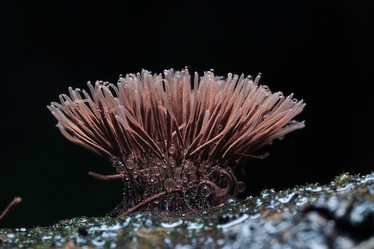 Similar image 10497638