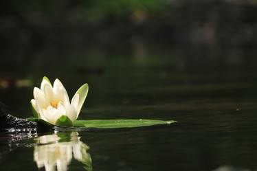 Similar image 10497642