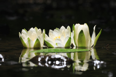 Similar image 10497644