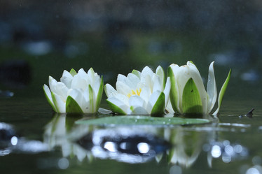 Similar image 10497645