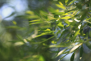 Similar image 10497651