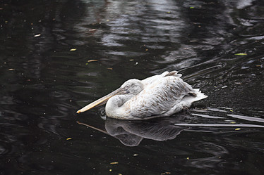 Similar image 10497655