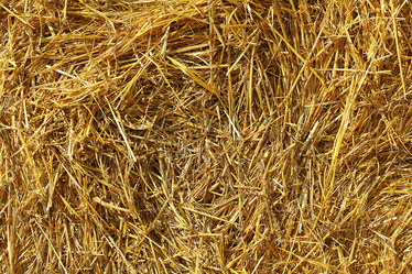 Similar image 10497661