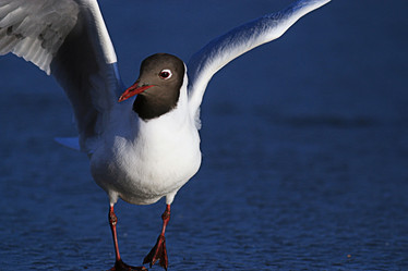 Similar image 10497671