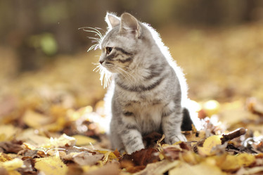 Similar image 10497673