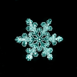 Similar image 10497674