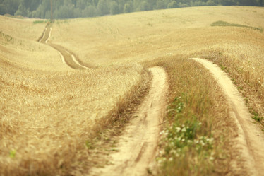 Similar image 10497679