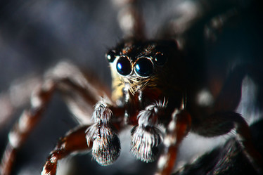 Similar image 10497680