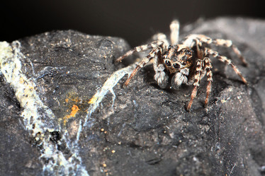 Similar image 10497683