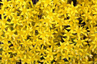 Similar image 10497684