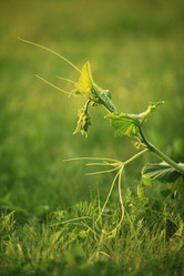 Similar image 10497685