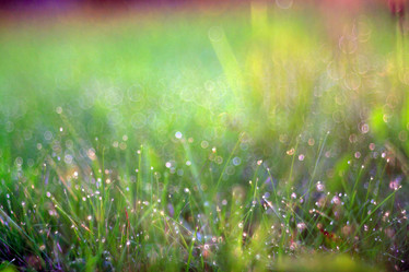 Similar image 10497687