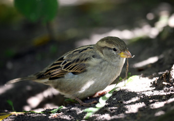 Similar image 10497688