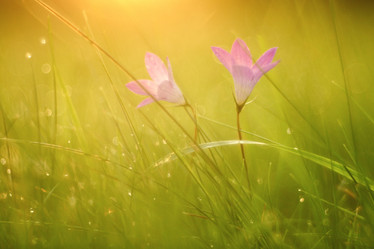 Similar image 10497689