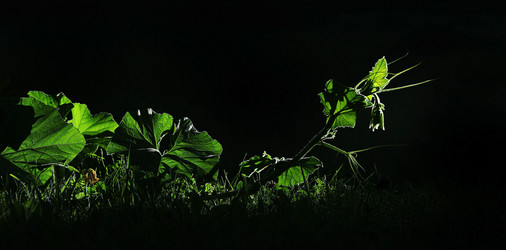 Similar image 10497691