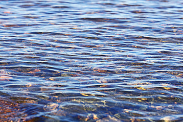 Similar image 10497692