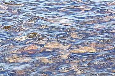 Similar image 10497696