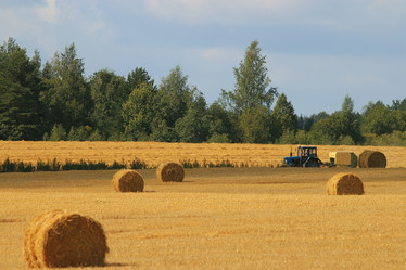 Similar image 10497697