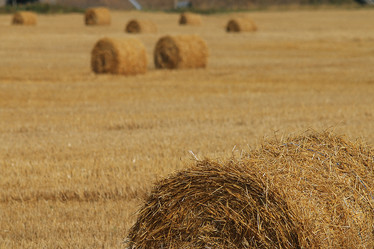 Similar image 10497699