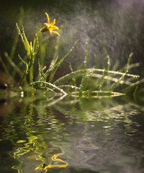 Similar image 10497705