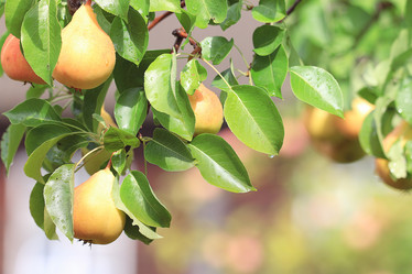 Similar image 10497707