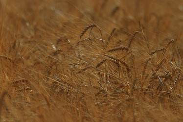 Similar image 10497709