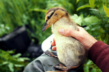 Similar image 10497712