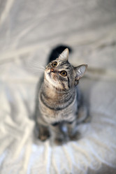 Similar image 10497717