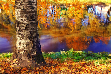 Similar image 10497718