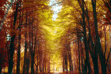 Similar image 10497720