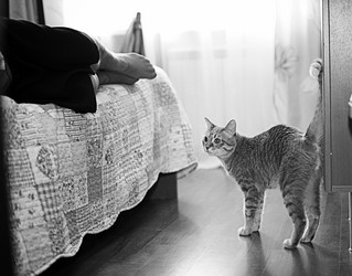 Similar image 10497723