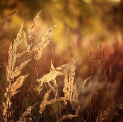 Similar image 10497727