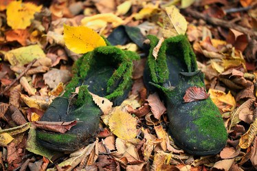 Similar image 10497730