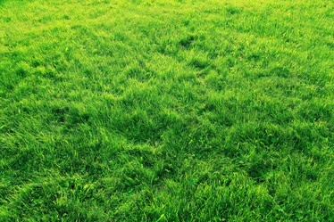 Similar image 10497732