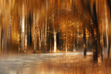 Similar image 10497736