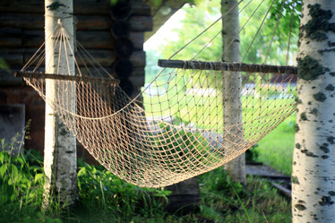 Similar image 10497740