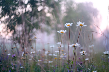 Similar image 10497752