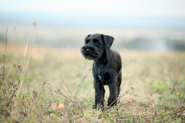 Similar image 10497753