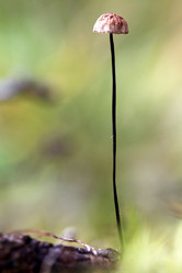 Similar image 10497755