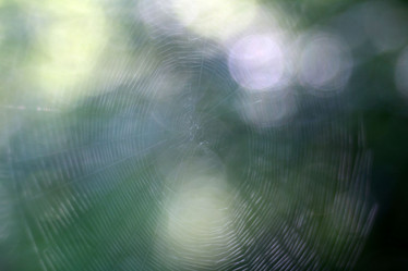 Similar image 10497757